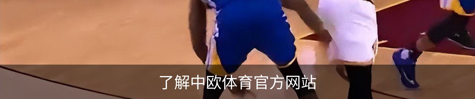 了解中欧体育官方网站